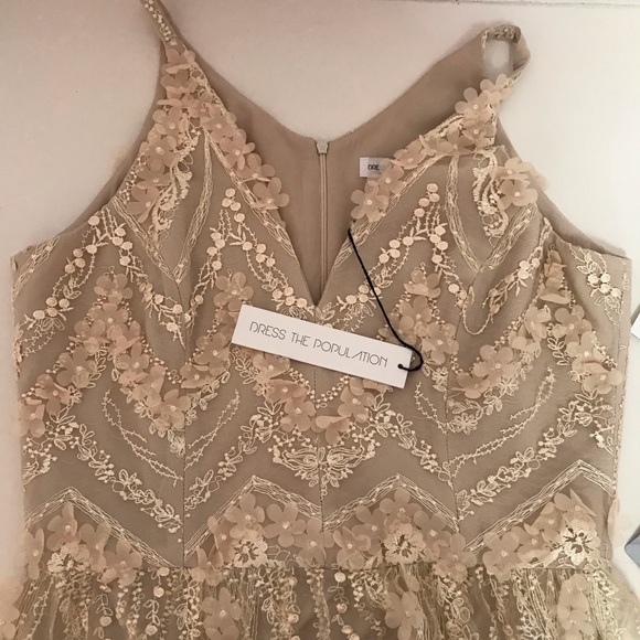 Dress the Population Chelsea Lace A-Line Gown - Picture 7 of 8